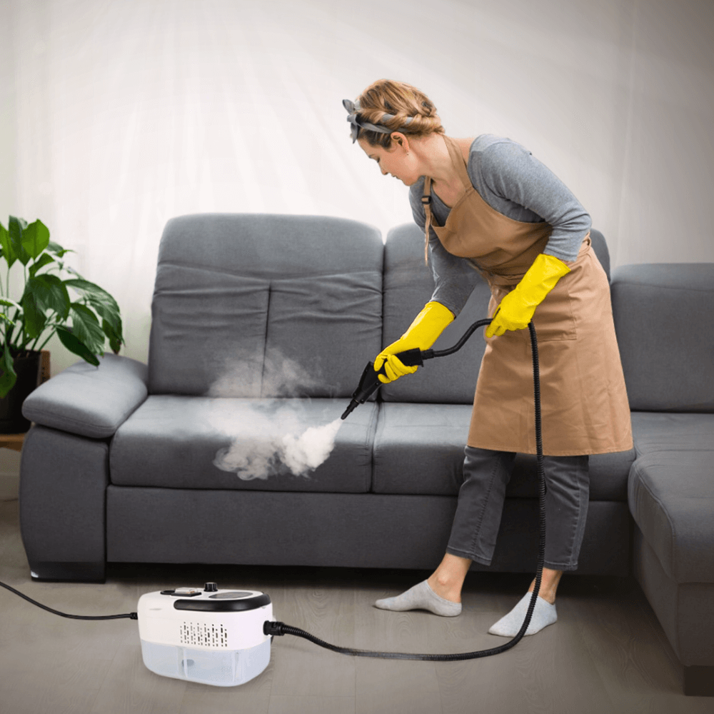 Handheld Steamer Cleaner 2500W
